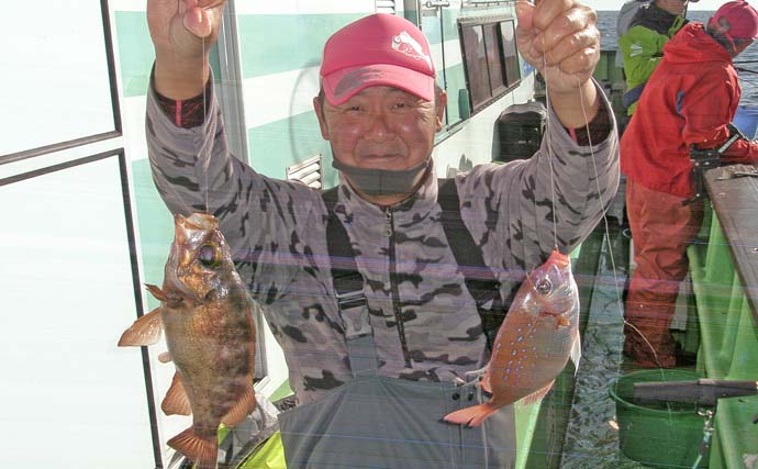 片貝沖のコマセ釣りで良型ハナダイの数釣り好機到来【千葉・増栄丸】