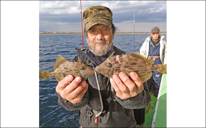 相模湾の船カワハギ釣りで26cm頭に船中全員が本命ゲット【神奈川・まごうの丸】