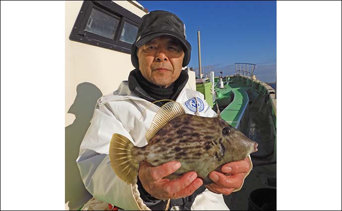 相模湾の船カワハギ釣りで26cm頭に船中全員が本命ゲット【神奈川・まごうの丸】