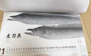 釣具メーカーの魚拓カレンダーを見て【１年間に釣れる魚をチェックしてみた】