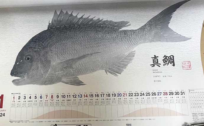 釣具メーカーの魚拓カレンダーを見て【１年間に釣れる魚をチェックしてみた】