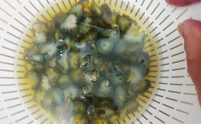 海産物を使った「縁起物」レシピ：アオナマコのやわらか酢　安価な食材が激変
