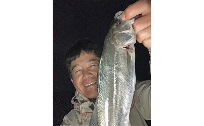 木曽川でのルアーシーバス釣りで35cm頭にセイゴ級が20匹超え【愛知】