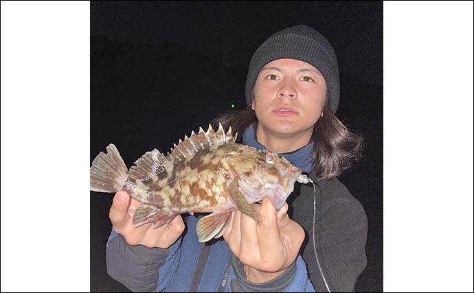陸っぱりライトルアー釣行で38cm巨大タケノコメバル【広島】