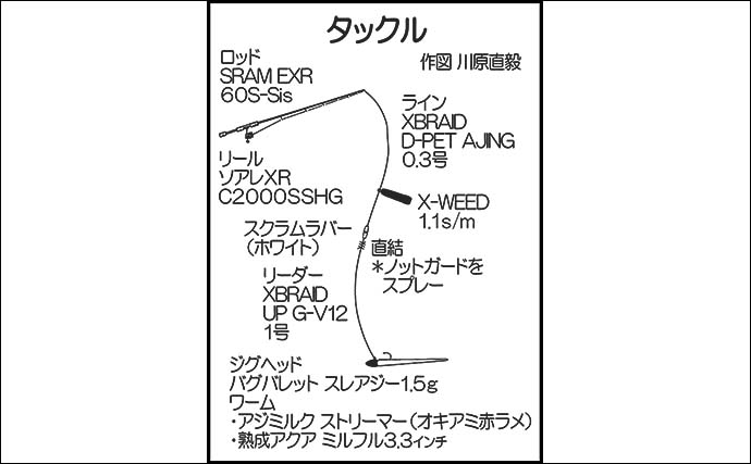 陸っぱりライトルアー釣行で38cm巨大タケノコメバル【広島】