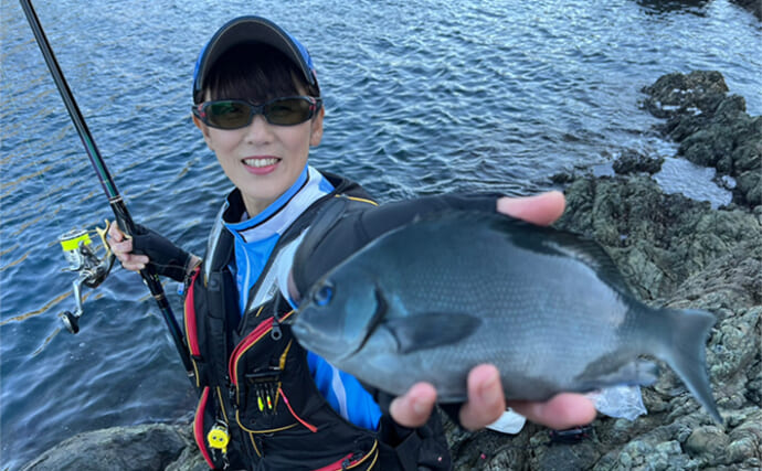 磯フカセ釣りでグレにスマガツオ【大分・米水津】エギングではアオリイカも手中