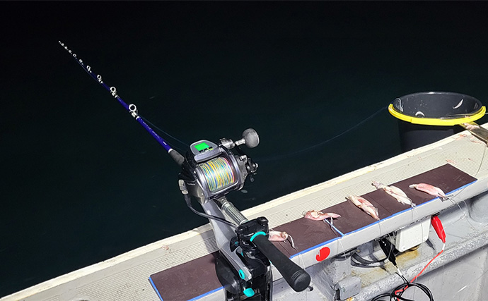 日本海の『電気ブリ』釣りで12kgの大型ゲット【新潟・里輝丸】イカエサにヒット
