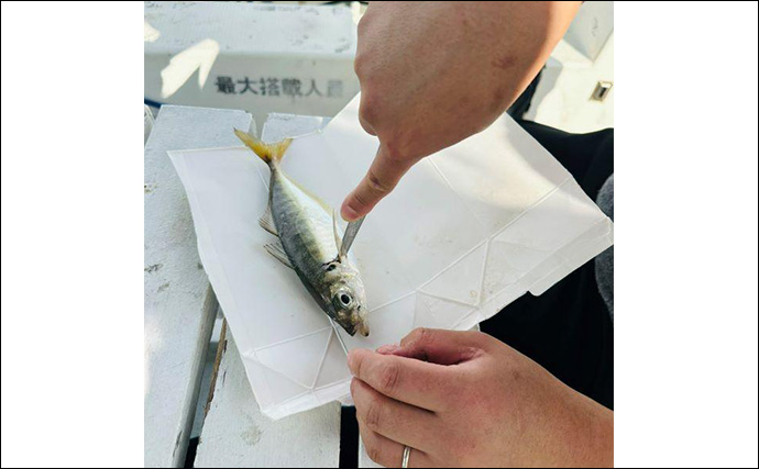 東京湾で釣れた魚で一番の美味は60cm『ギンガメアジ』　ガイド船船長が太鼓判