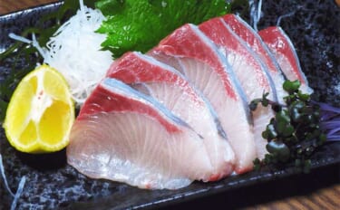 海上釣り堀の代表魚「マダイ」と「ブリ」を食べ尽くそう　おすすめレシピ8選