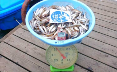 釣果にこだわる淡水釣り愛好家のルーティーン　釣った魚の重量とサイズは必ず計測
