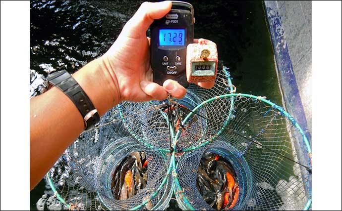 釣果にこだわる淡水釣り愛好家のルーティーン　釣った魚の重量とサイズは必ず計測