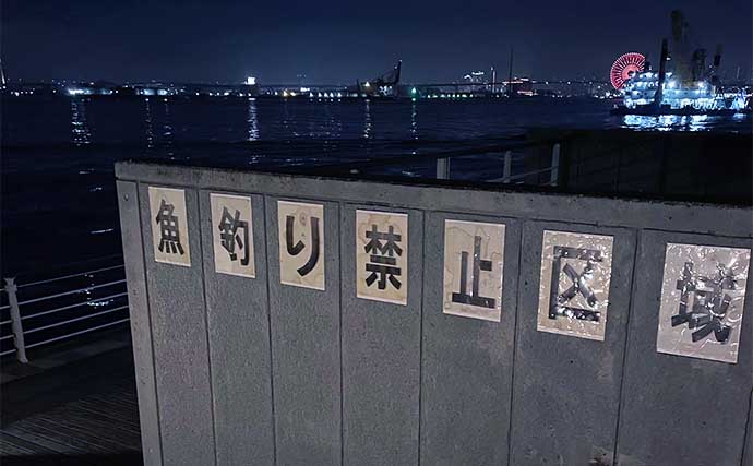電車釣行可能な大阪湾釣り開放エリア『シーサイドコスモス』紹介　釣れる魚は？