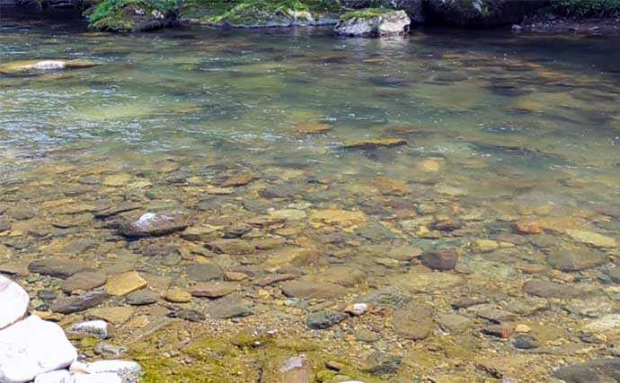 渓流エサ釣り愛好家が釣り友にウソをつく理由は【単独釣行をしたいから？】