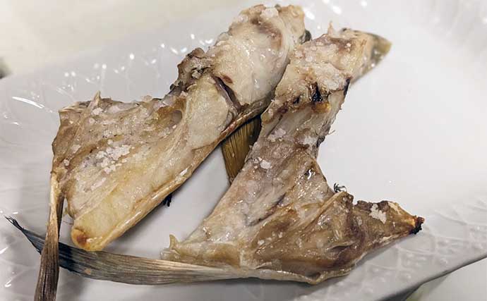 釣ったシロアマダイで作る絶品レシピ5選　シンプルな調理法がオススメ