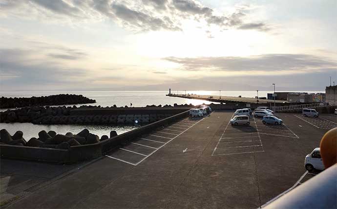 伊豆大島での堤防フカセ釣りで33cmグレと対面【元町港】サイズアップに苦戦