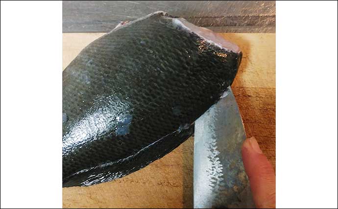 釣った魚で作る「新感覚」レシピ：クロの刺身～抹茶塩を添えて～