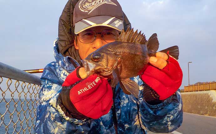 豊浜新堤でのメバル釣りで26cm頭に本命6匹【愛知】長ザオ胴突き仕掛けで手中