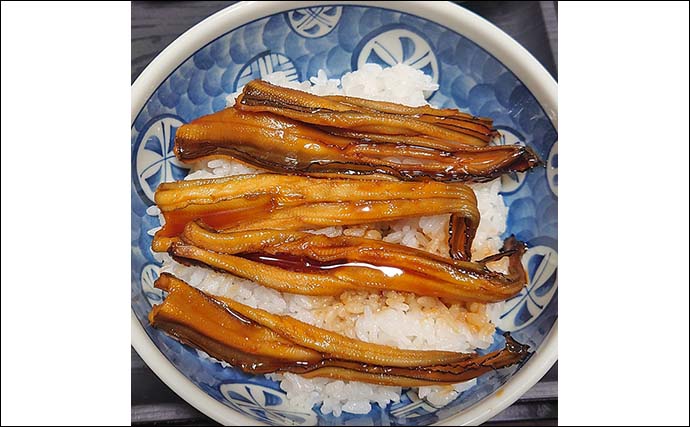 夜の投げ釣りでアナゴ10匹を手中【愛知・大野海岸】煮アナゴ丼に舌鼓