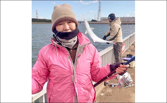 碧南海釣り広場でのサビキ釣りでイケカツオをキャッチ【愛知】