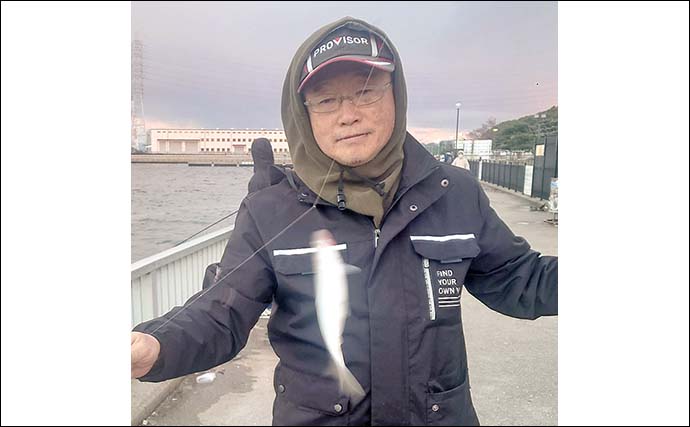 碧南海釣り広場でのサビキ釣りでイケカツオをキャッチ【愛知】