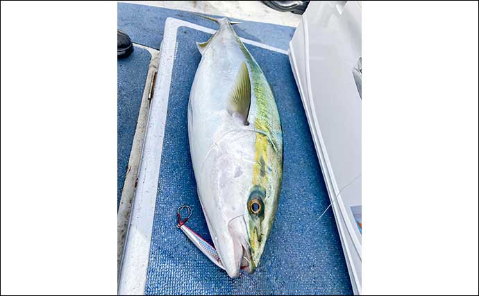 伊勢湾のオフショアジギング釣行でブリにサワラをキャッチ【愛知・ブルードラゴン】