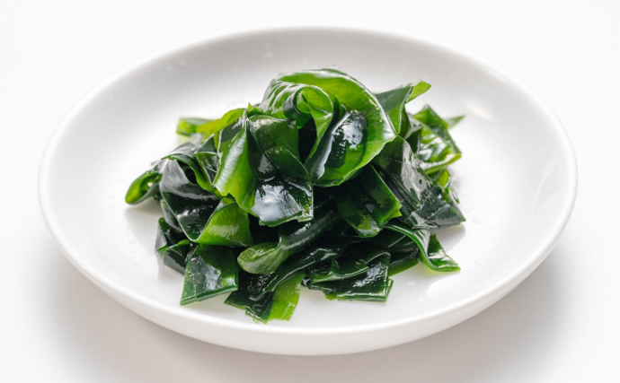 手軽に採取できて美味しい海藻『オゴノリ』　女性が生食すると危険なワケとは？
