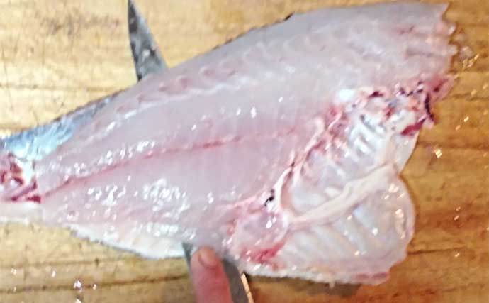釣った大型マダイで作る「ステーキ」レシピ　分厚く切るのがポイント