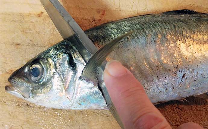 釣った大衆魚で作る「さっぱり」レシピ：アジの梅じそ和え　食感も抜群