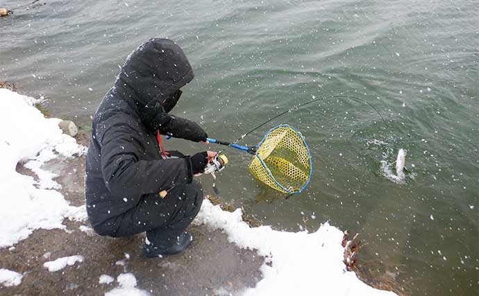厳寒期のエリアトラウト釣行は【ミノーのマジックジャークで攻略】しよう