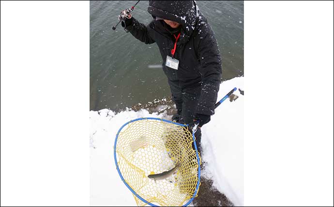 厳寒期のエリアトラウト釣行は【ミノーのマジックジャークで攻略】しよう