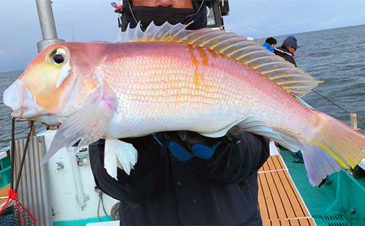 能登半島地震後の富山湾でスルメイカ・鬼カサゴ・甘鯛のリレー釣行【強