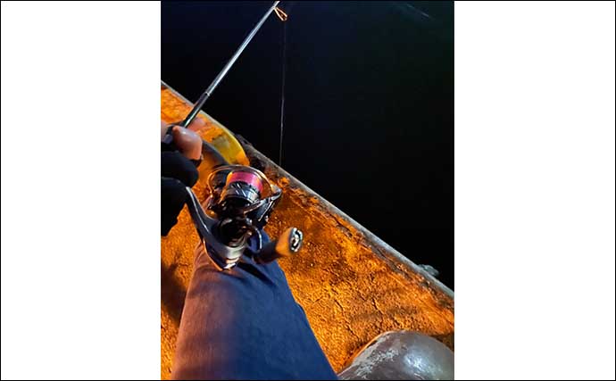 身近にある小さな漁港でアジ・メバル・カサゴを釣る方法　夜釣りが鉄板か