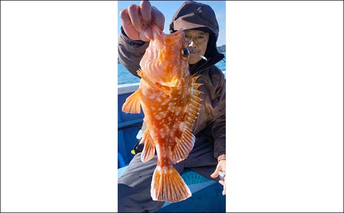 【沖釣り釣果速報】イカダでのカカリ釣りで51cm大型シロアマダイが登場（三重）