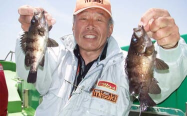 春の風物詩【東京湾エビメバル釣り】入門　活モエビをエサに美味な根魚を狙おう