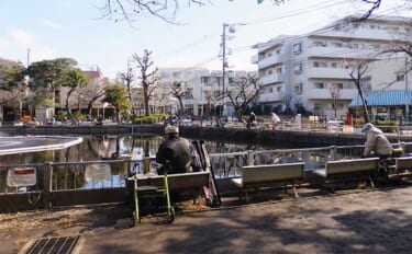 今週のヘラブナ推薦釣り場2024【東京・清水池公園】