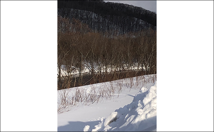 ロッド凍る極寒の渓流ルアー釣りで52cmニジマスに50cmアメマスと対面【北海道・尻別川】