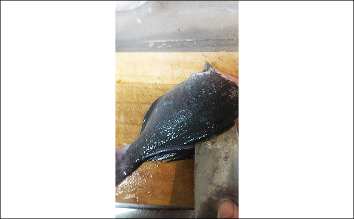 釣った魚で作る「食欲増進」レシピ：クロのたたき　ミンチ状にしてはダメ