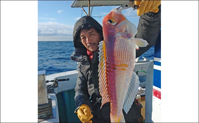 常磐沖のアマダイ釣りで良型連打【茨城・釣友丸】ツボ抜きしたホタルイカが的中