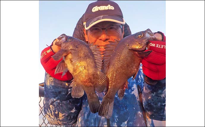 豊浜新堤でのノベ竿エサ釣りで26cm頭にメバル3匹【愛知】朝の一瞬の時合いに手中