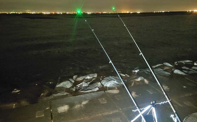 大野海岸での夜の投げ釣りでマアナゴ7匹キャッチ【愛知】遠投＆誘い無しが当たり