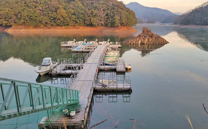 豊田湖の桟橋ワカサギ釣りで200尾超え【山口】中層での入れ食いを堪能