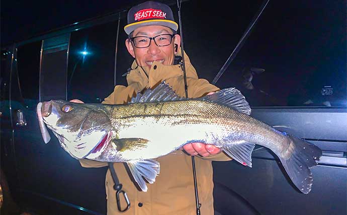 名古屋港でのルアーシーバス釣行で50cm超え連打　パールホワイトカラーのワームにヒット
