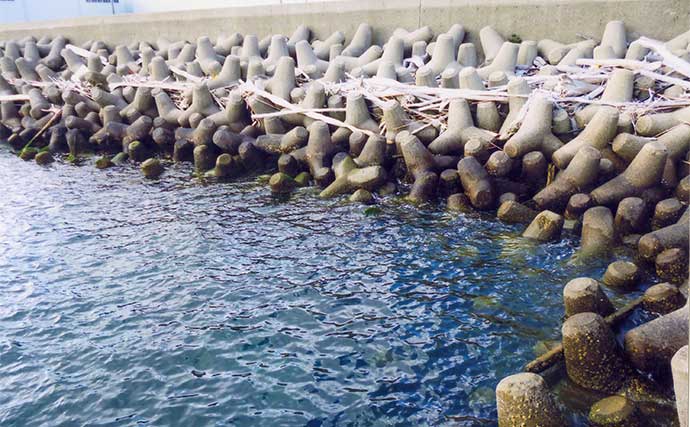 霞ヶ浦埠頭でのエサ釣りでカサゴ＆メバル好捕【三重】藻エビが当たりエサか