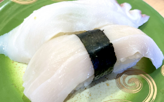 北海道民御用達の寿司ネタ『たこ頭』はミズダコの頭　足よりも美味？