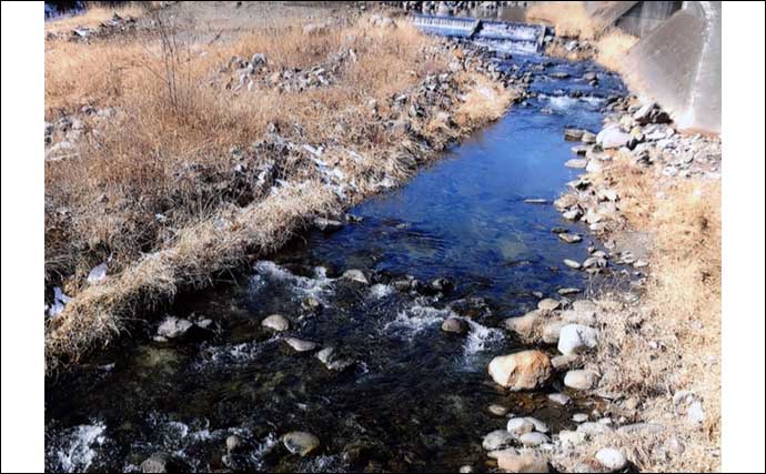 渓流釣り河川ポイント紹介2024：桂川水系（山梨）当たりなければ川虫採取を