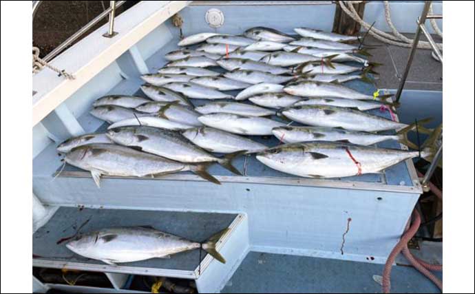 【船釣り釣果速報】平戸沖のルアーキャスティングで20kg級ヒラマサ（長崎・佐賀）
