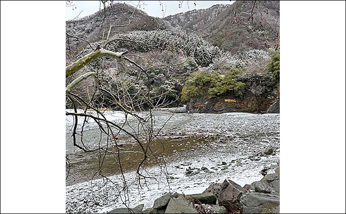 道志川での渓流釣りでヤマメ9尾手中【神奈川】ルアーとエサどちらにもヒット
