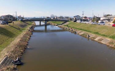 今週のヘラブナ推薦釣り場2024【埼玉・新河岸川放水路】