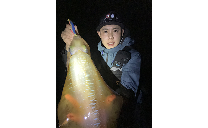 屋久島エギング釣行で大型アオリイカ『レッドモンスター』を狙う　初日から1.4kgが顔出し