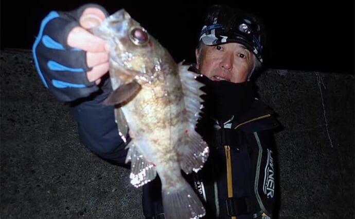 夜の堤防での電気ウキ釣りで23cm頭にメバル連打【熊本・三角港】誘いが重要